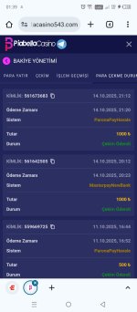 Screenshot_20251015-013941.jpg